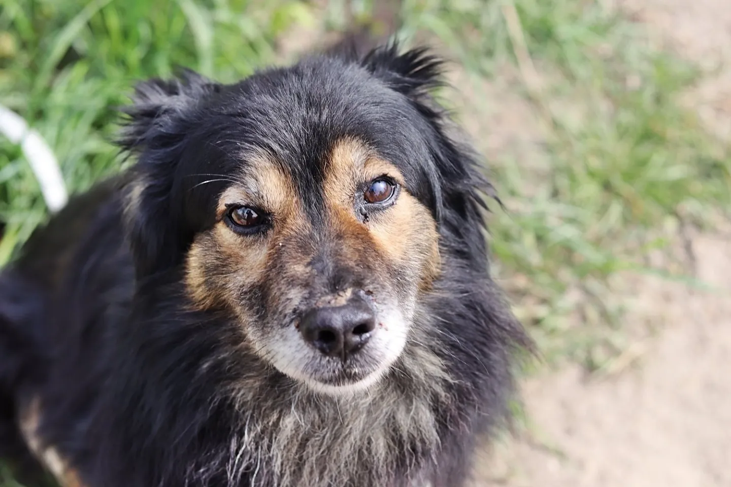 Blaki potrzebuje kolejnej porcji leku!